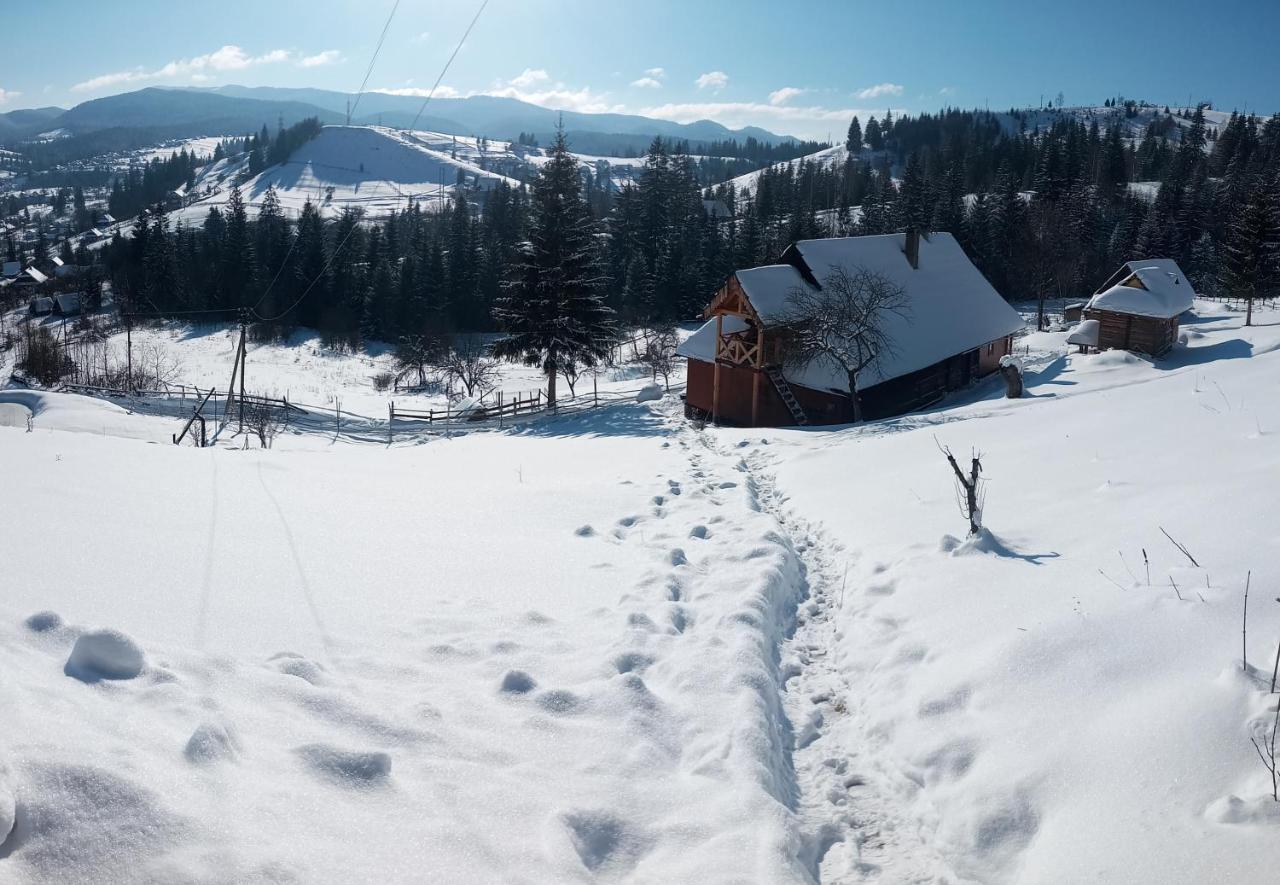 Приватна Садиба "Світлиця Гуцульщини" Worochta Exterior foto