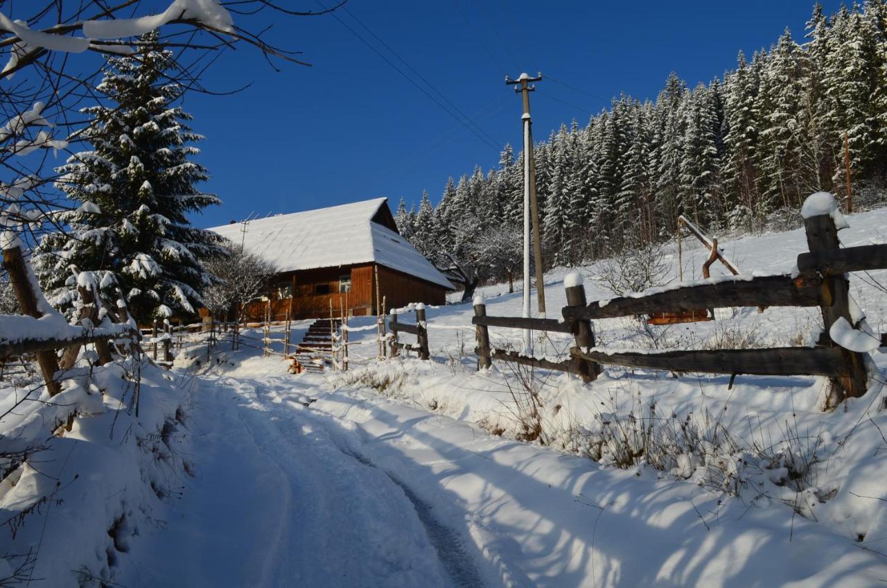 Приватна Садиба "Світлиця Гуцульщини" Worochta Exterior foto