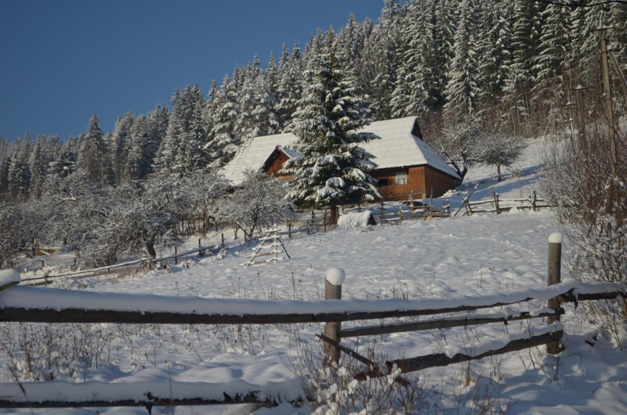 Приватна Садиба "Світлиця Гуцульщини" Worochta Exterior foto